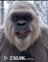 Yeti Boo Adventure #11