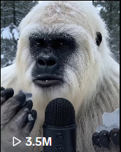 Yeti Boo Adventure #12
