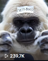 Yeti Boo Adventure #14