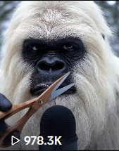 Yeti Boo Adventure #15