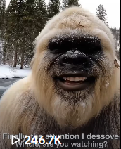 Yeti Boo Adventure #16