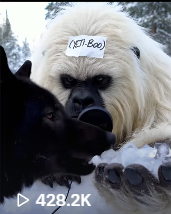 Yeti Boo Adventure #17