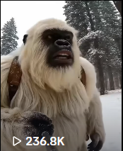 Yeti Boo Adventure #19
