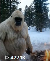 Yeti-Boo vlog 3