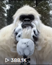 Yeti Boo Adventure #20