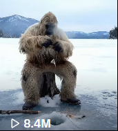 Yeti Boo Adventure #21