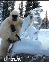 Yeti Boo Adventure #27
