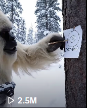 Yeti Boo Adventure #4