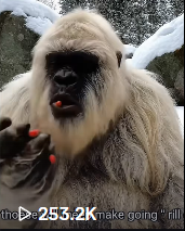 Yeti Boo Adventure #5