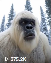 Yeti Boo Adventure #9