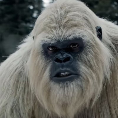 Yeti Boo
